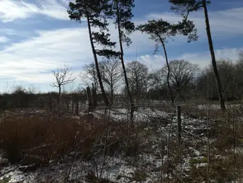 De Panne in de sneeuw (België)